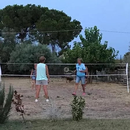 Casa Cactus T&c
